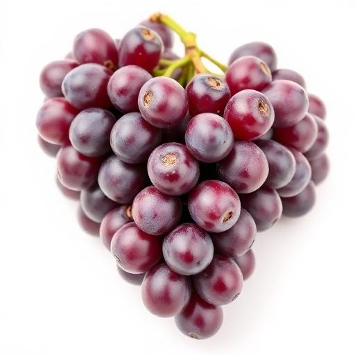 Grape Seed Extract