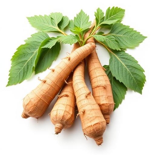 Maca Root